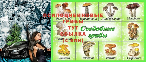 стаф Армянск