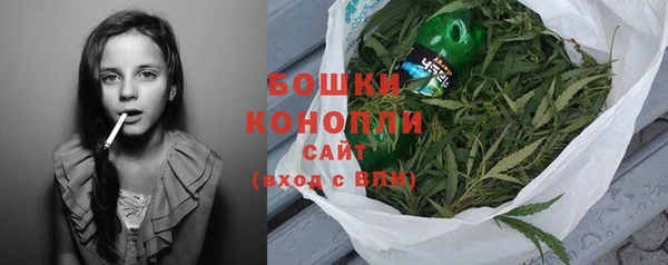 индика Балабаново