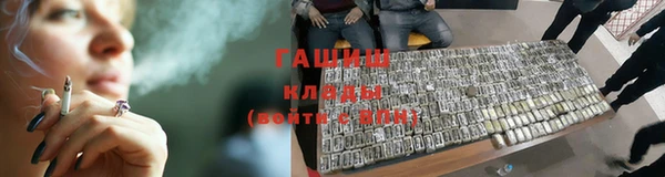 стаф Арсеньев