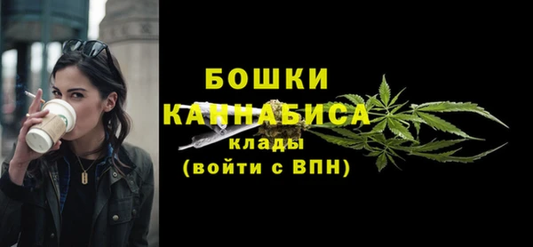 индика Балабаново