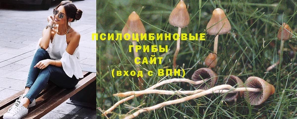 стаф Арсеньев