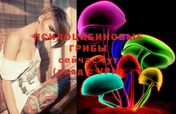 индика Балабаново