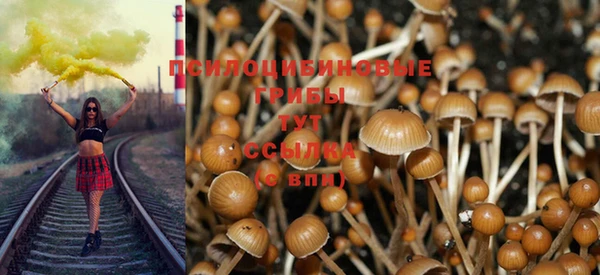 стаф Арсеньев