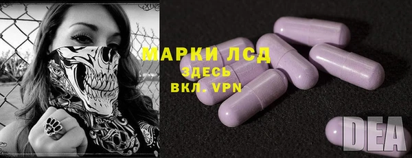 стаф Арсеньев