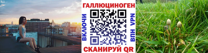 Галлюциногенные грибы Psilocybine cubensis купить наркотик Белокуриха